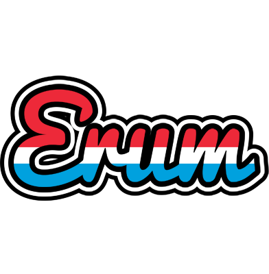 Erum norway logo