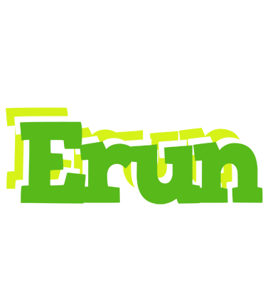 Erun picnic logo