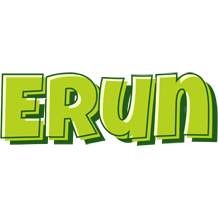 Erun summer logo