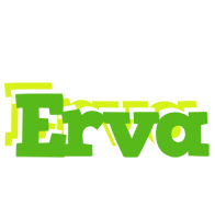 Erva picnic logo