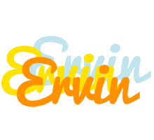 Ervin energy logo