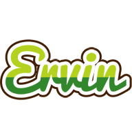 Ervin golfing logo