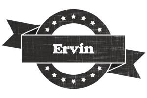 Ervin grunge logo