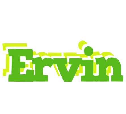 Ervin picnic logo