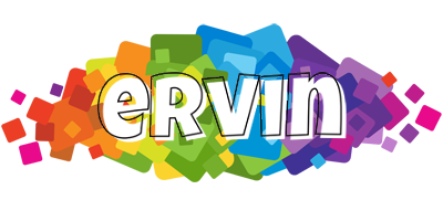 Ervin pixels logo