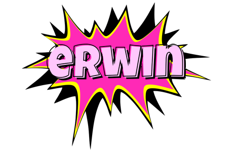 Erwin badabing logo