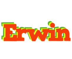 Erwin bbq logo