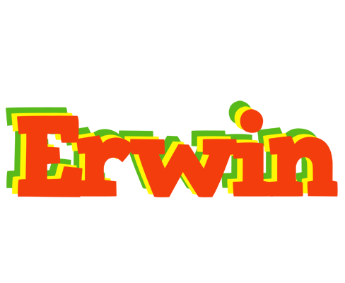 Erwin bbq logo