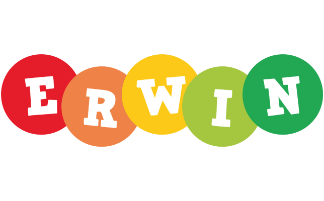 Erwin boogie logo