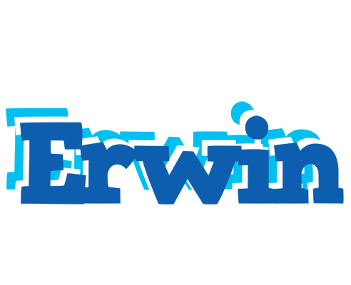 Erwin business logo