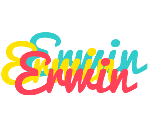Erwin disco logo