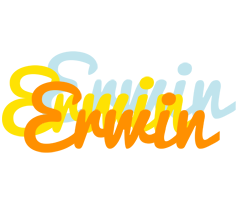Erwin energy logo