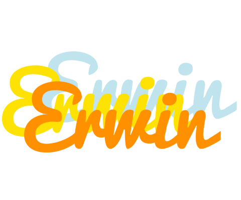 Erwin energy logo