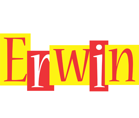 Erwin errors logo