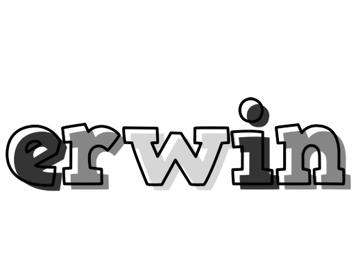 Erwin night logo