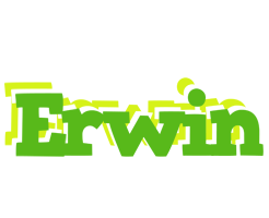 Erwin picnic logo