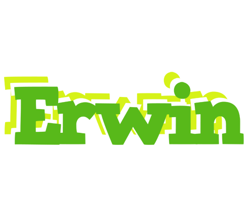 Erwin picnic logo
