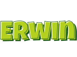 Erwin summer logo