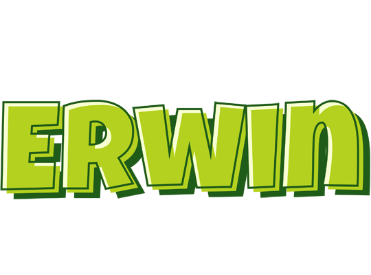 Erwin summer logo