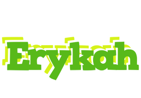 Erykah picnic logo