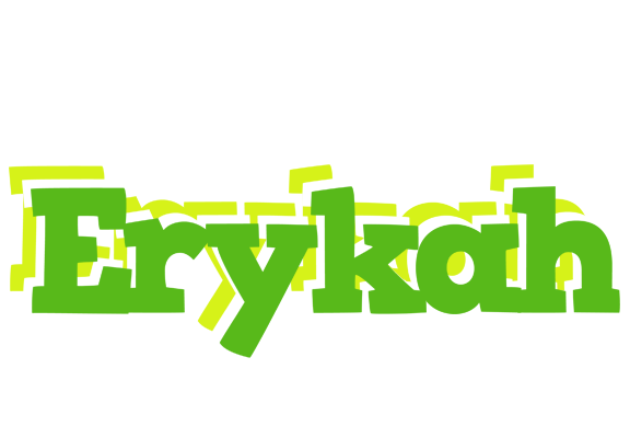 Erykah picnic logo