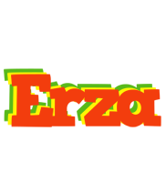 Erza bbq logo