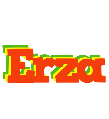 Erza bbq logo