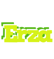 Erza citrus logo