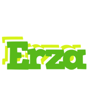 Erza picnic logo