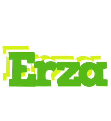 Erza picnic logo
