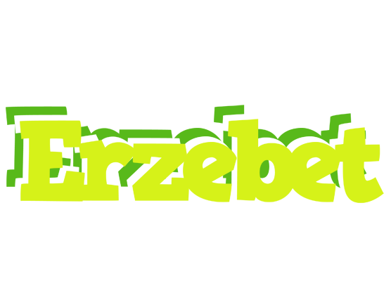Erzebet citrus logo