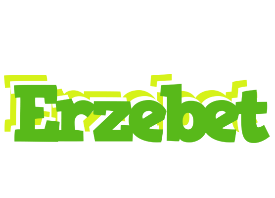 Erzebet picnic logo
