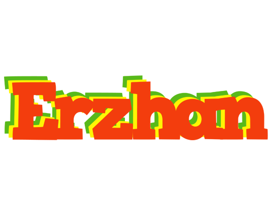 Erzhan bbq logo