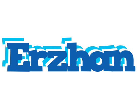 Erzhan business logo