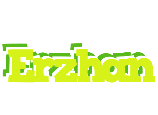 Erzhan citrus logo