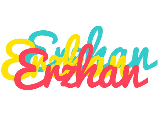 Erzhan disco logo