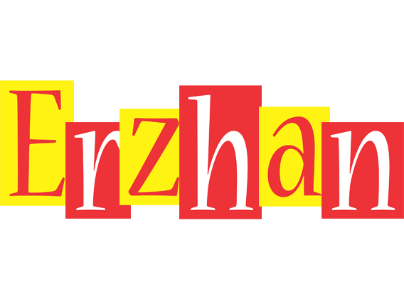 Erzhan errors logo