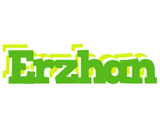 Erzhan picnic logo