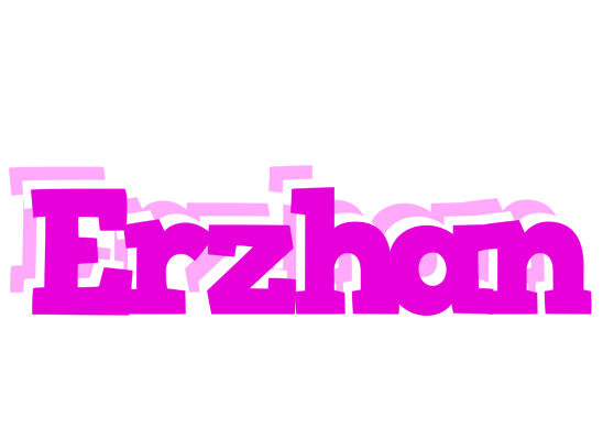 Erzhan rumba logo