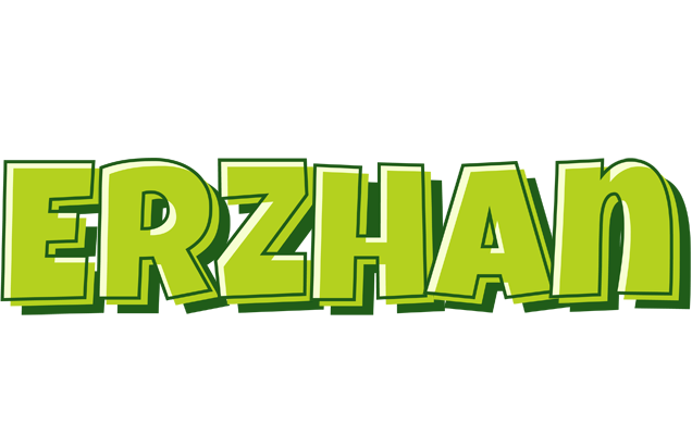 Erzhan summer logo