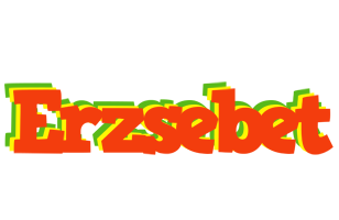 Erzsebet bbq logo