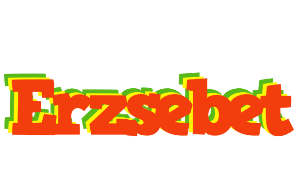 Erzsebet bbq logo