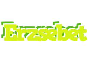 Erzsebet citrus logo