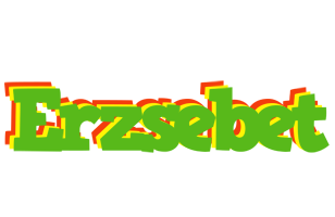 Erzsebet crocodile logo