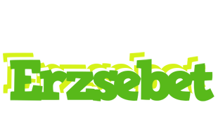 Erzsebet picnic logo