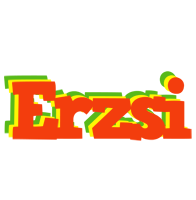 Erzsi bbq logo