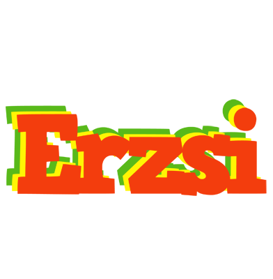 Erzsi bbq logo