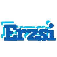 Erzsi business logo