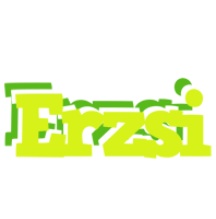 Erzsi citrus logo