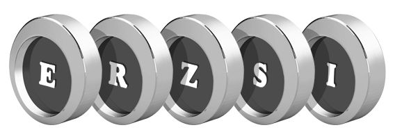 Erzsi coins logo